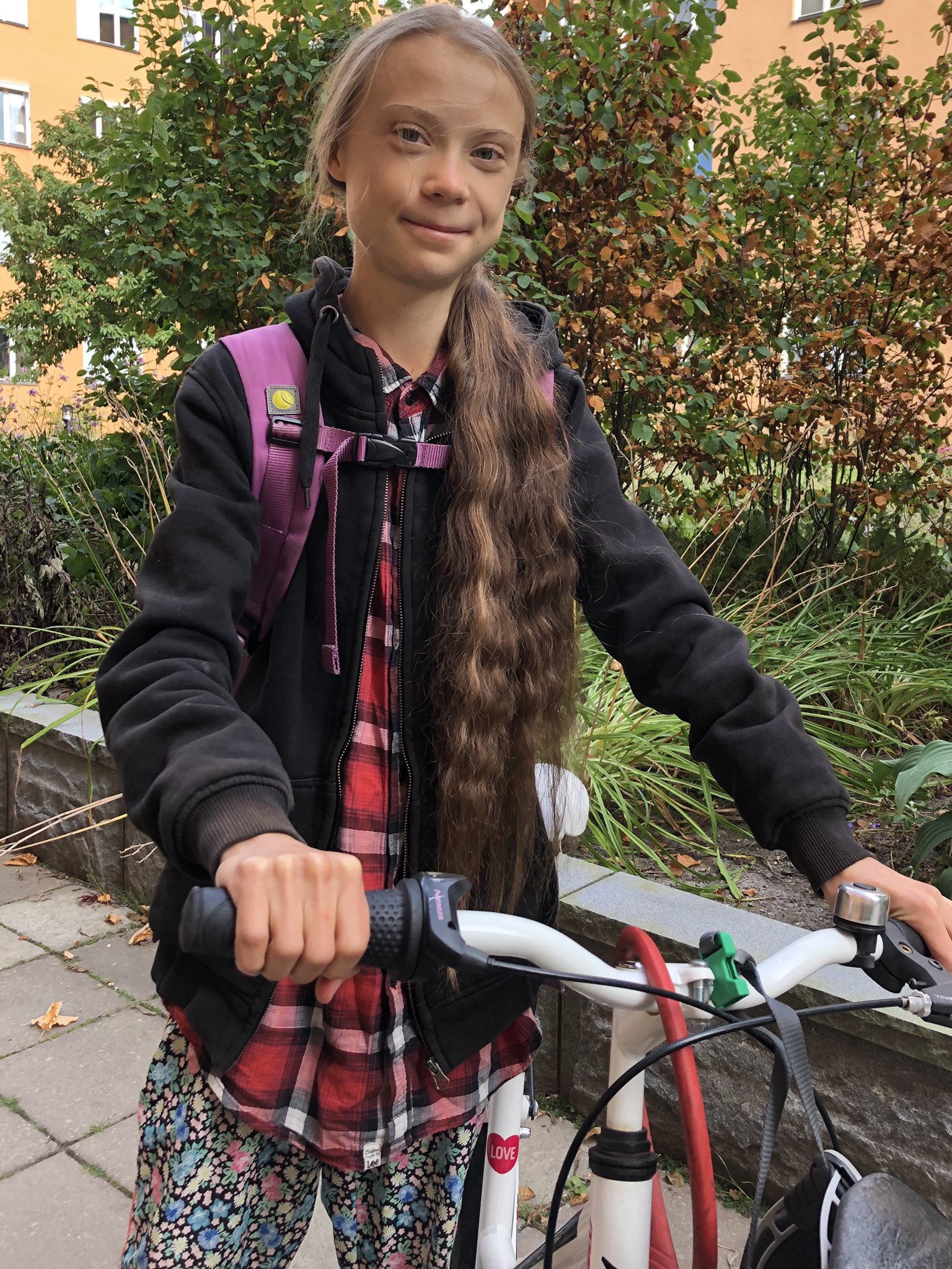 Depois de ensinar os adultos a proteger o planeta, Greta Thunberg volta à escola para aprender