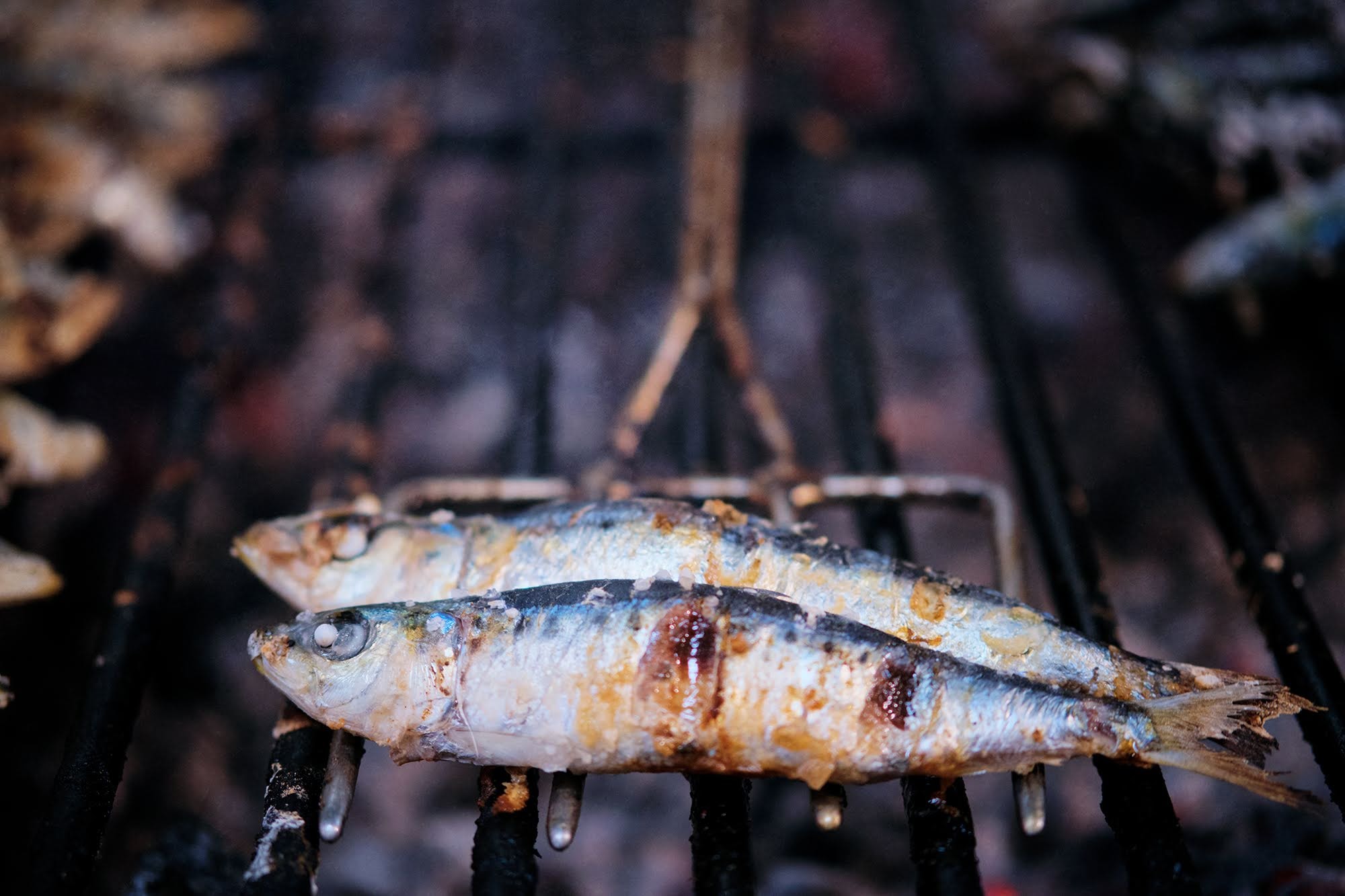 Sardinhas. Da assada à braseada, 5 sítios para comer o peixe mais famoso de junho