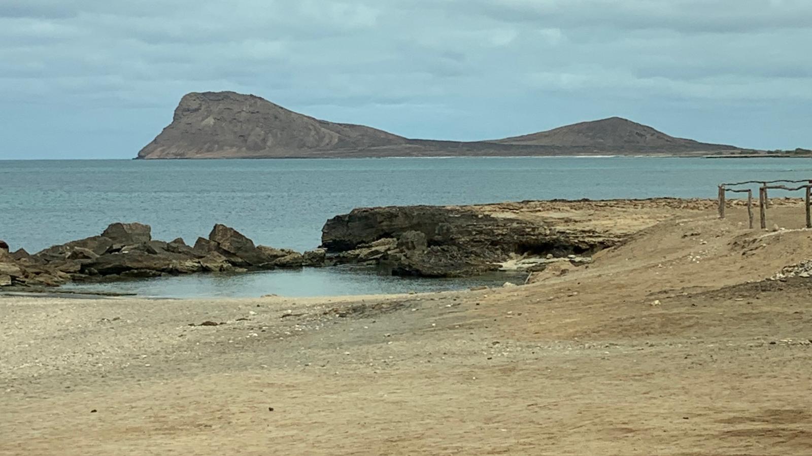 murdeira