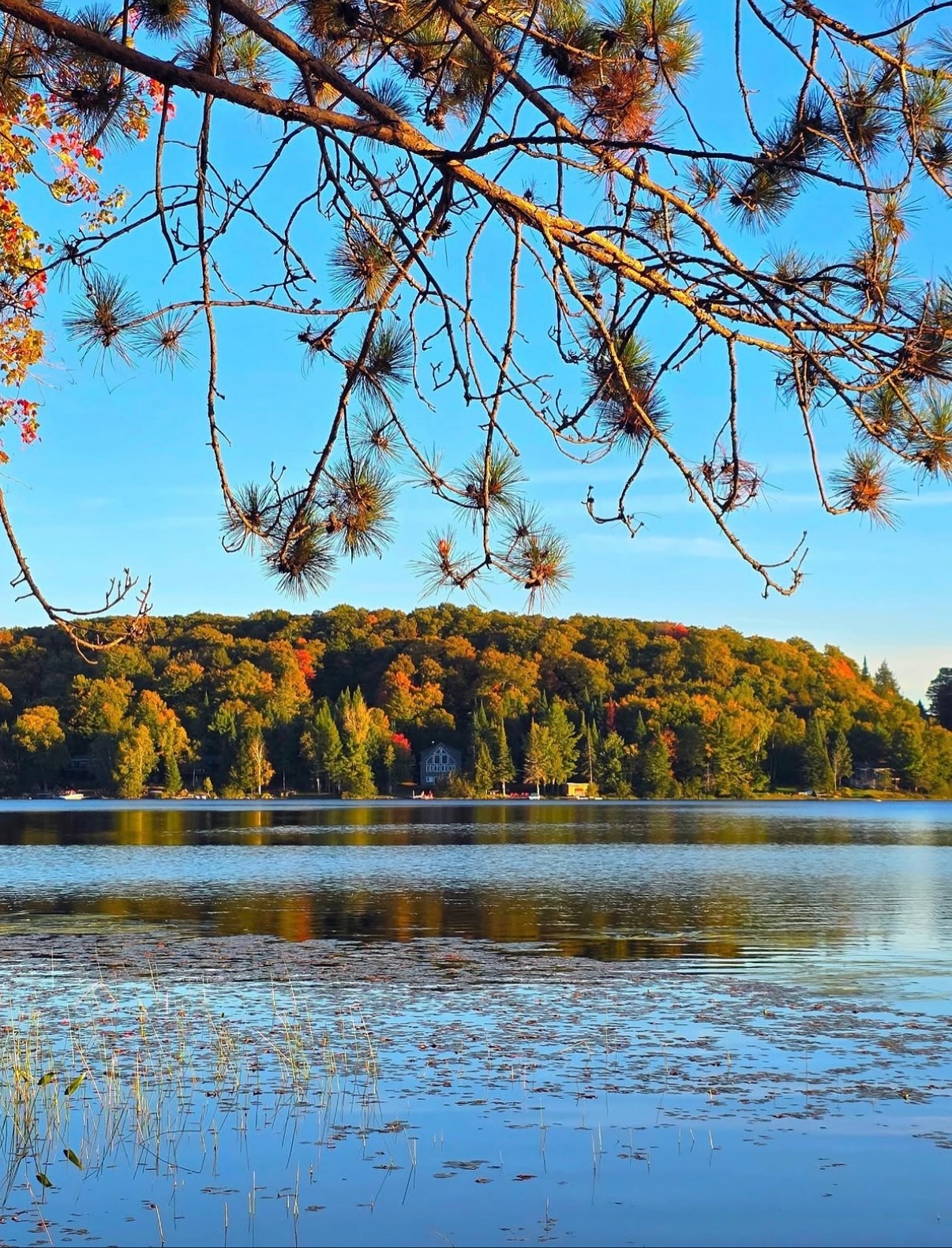 Muskoka, Canadá