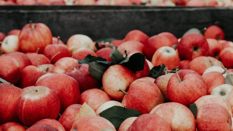 Dieta. Plano alimentar perfeito de um dia para conseguir perder peso