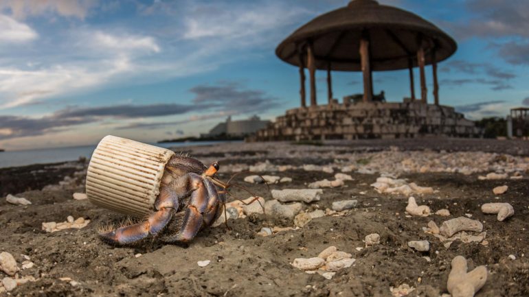 Esta foto foi tirada numa praia de Okinawa, no Japão