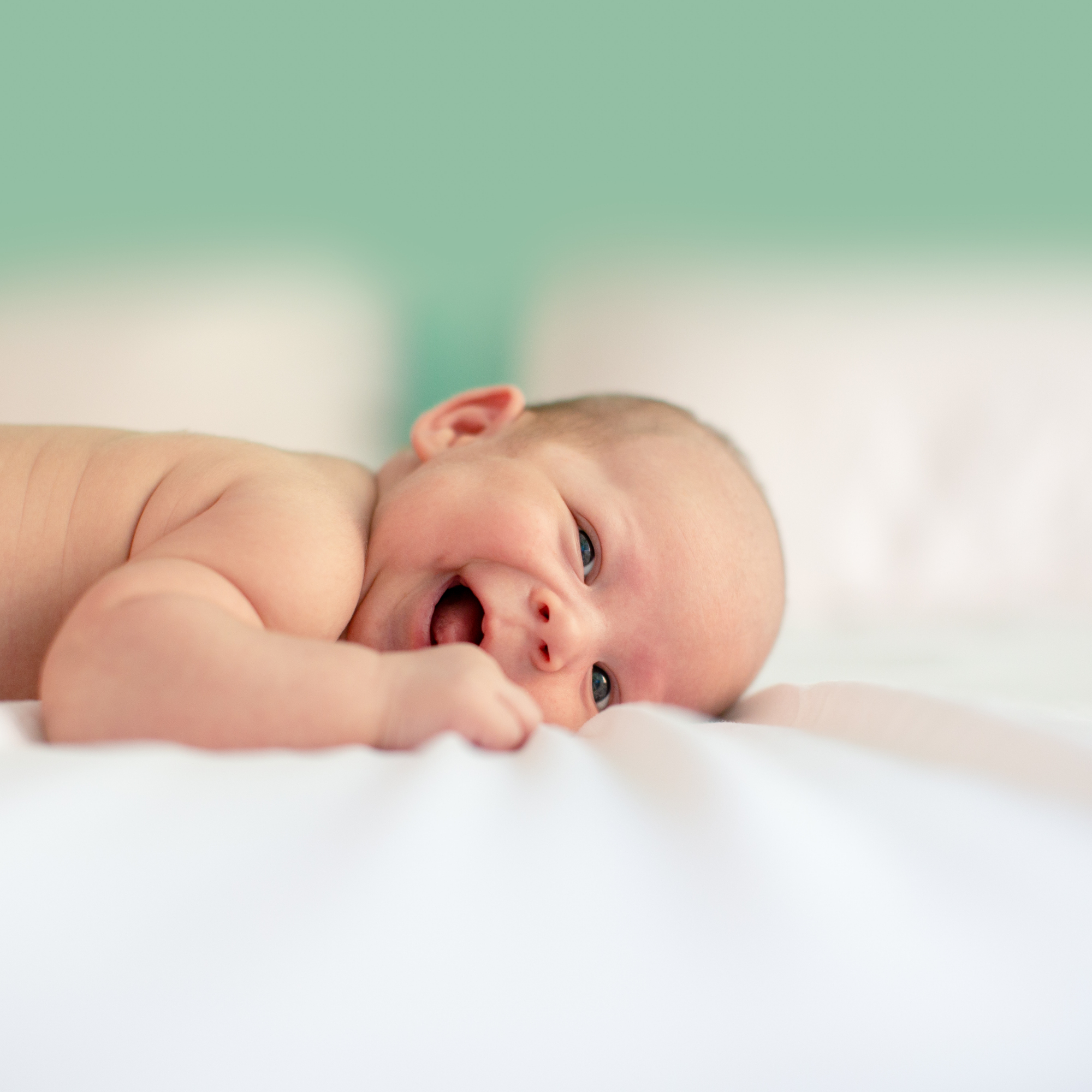 Tenho um bebé em casa. E agora? O que deve e não deve fazer nos cuidados de um recém-nascido