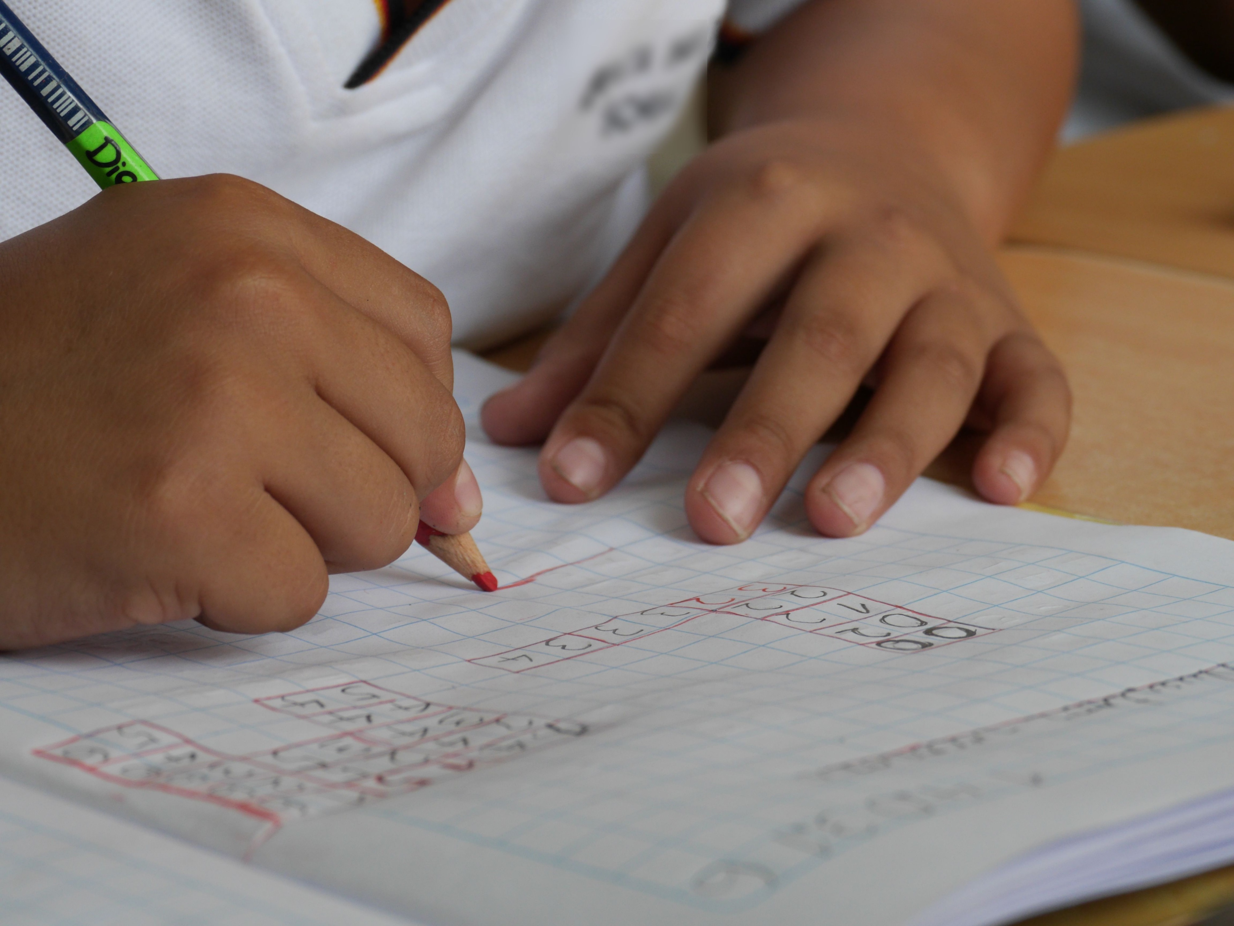 Caso positivo de COVID-19 fecha escola em Odivelas até setembro