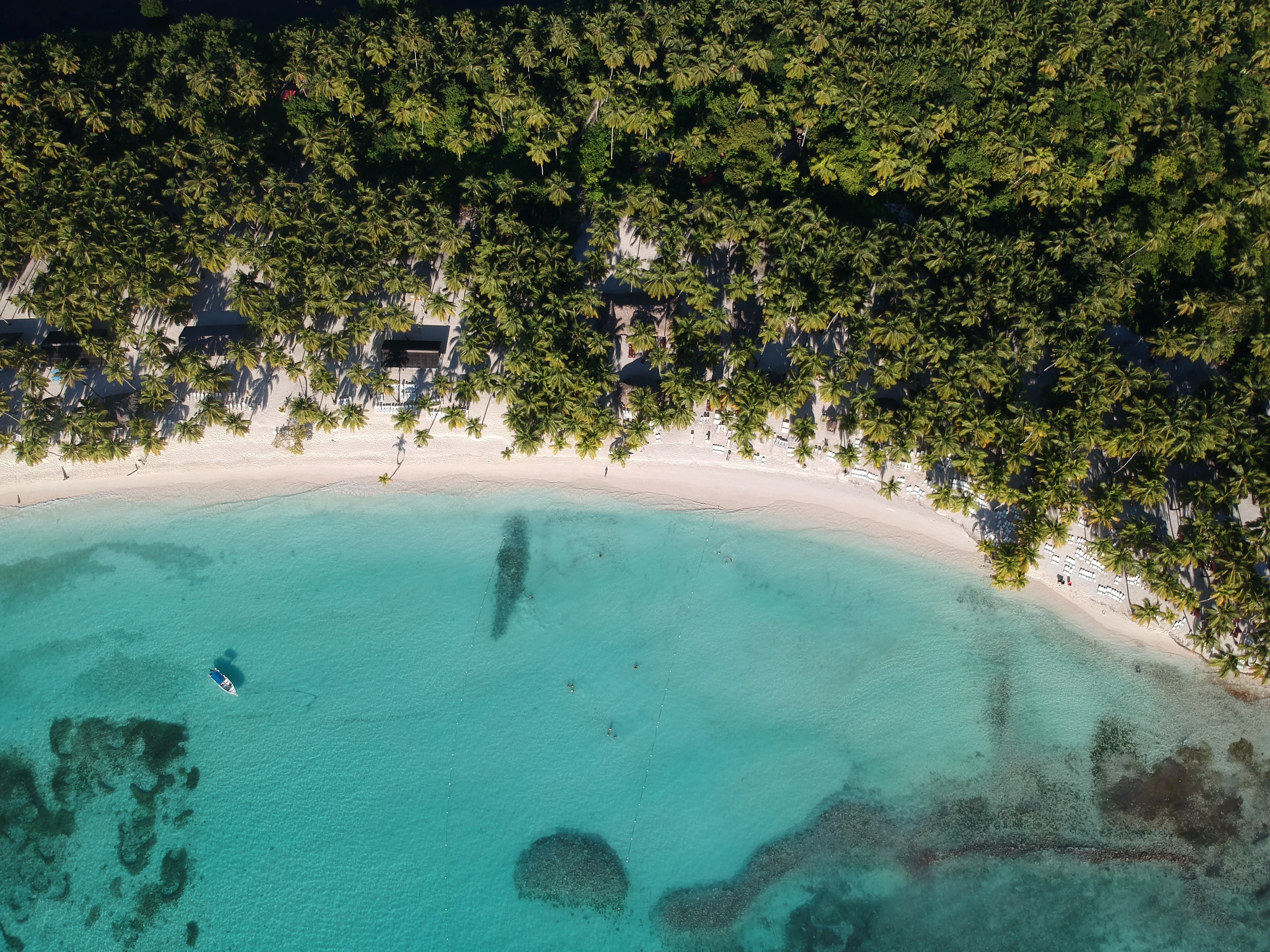 Punta Cana Punta Cana