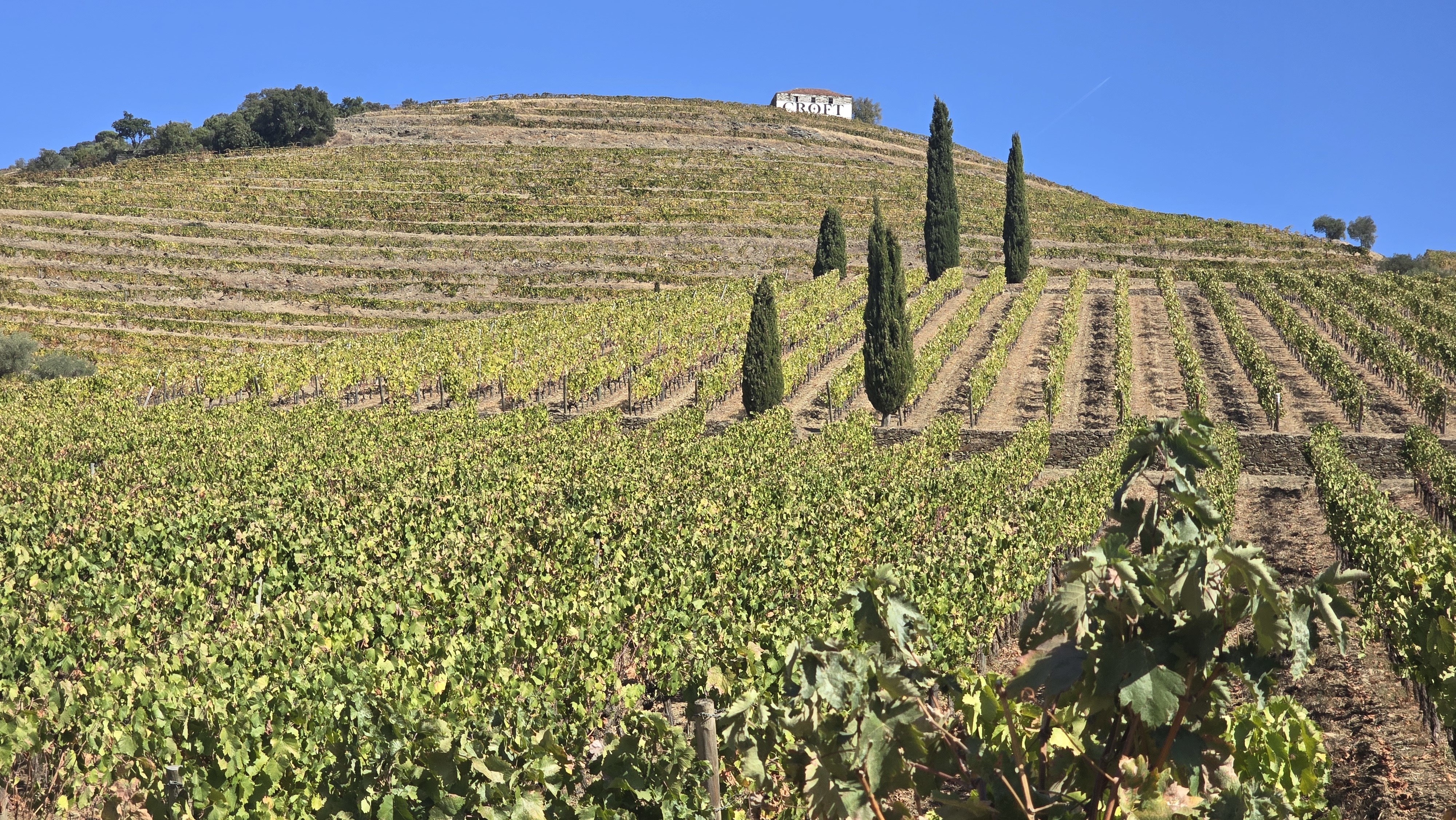 Quinta da Roêda Quinta da Roêda