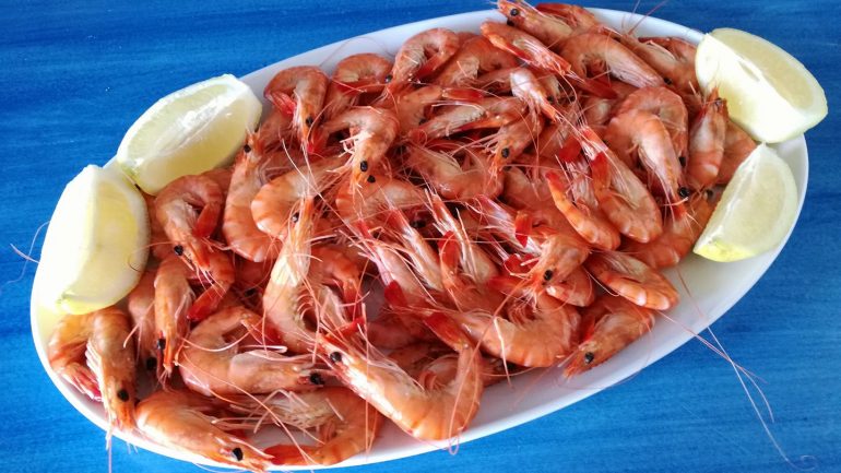 Costa Vicentina. 10 restaurantes imperdíveis
