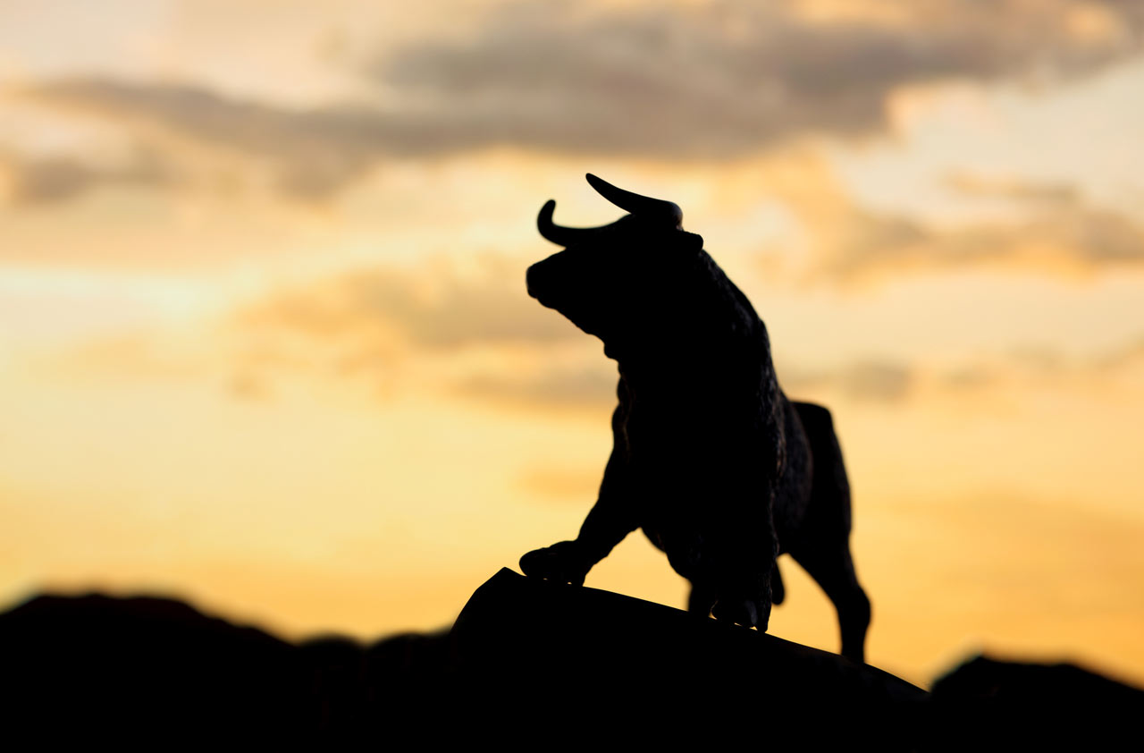 Touro. Saiba tudo sobre o signo paciente e persistente, e com um forte desejo de amar