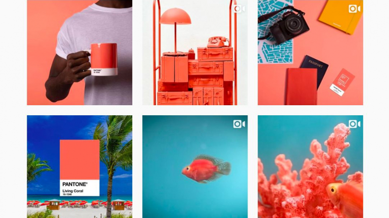 A página de Instagram do Pantone já está pintada de coral