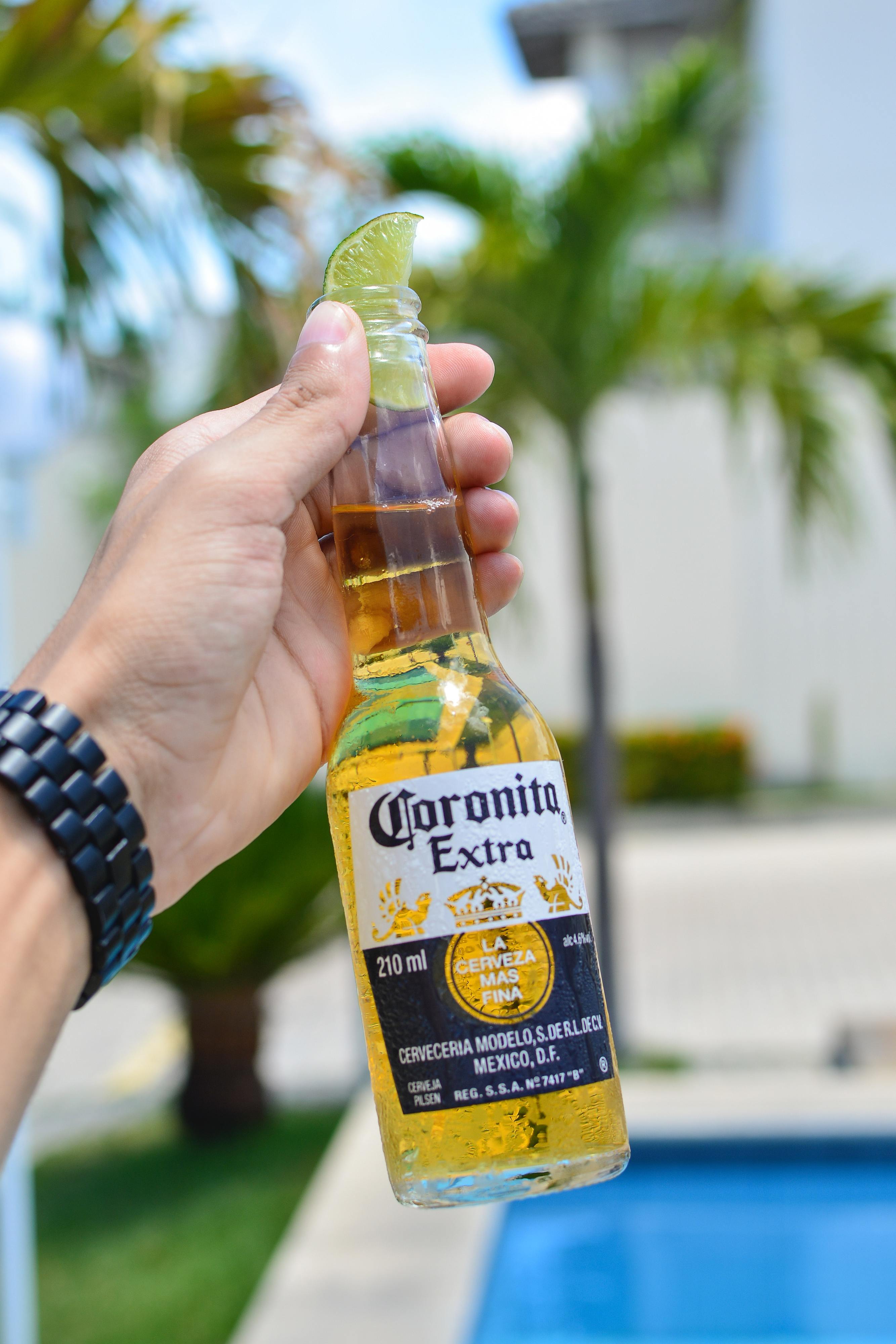 Cerveja Corona em prejuízo desde o início do surto de coronavírus