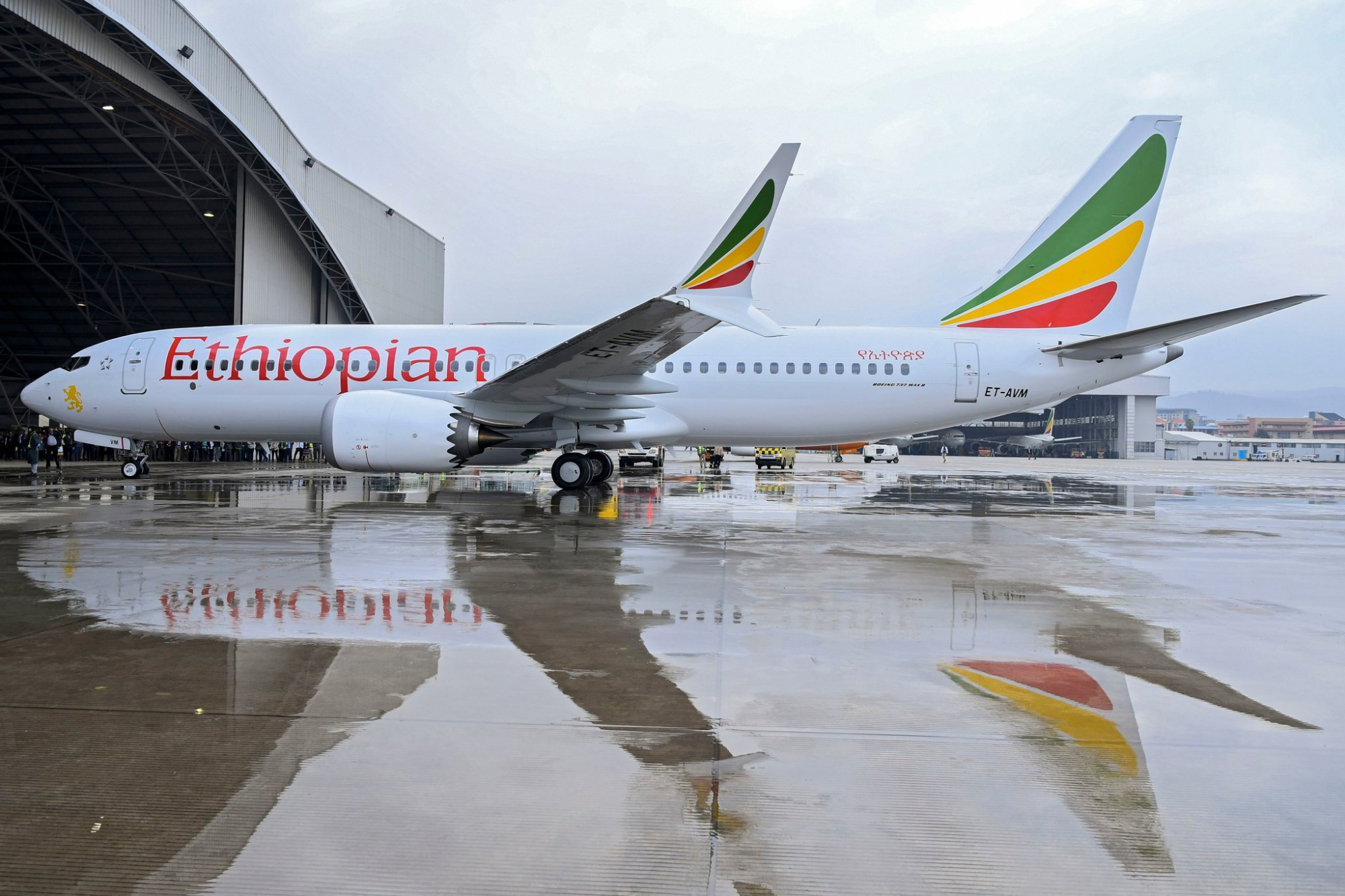 É o segundo acidente com um Boeing 737/800 MAX. O que é que se passa com estes aviões?