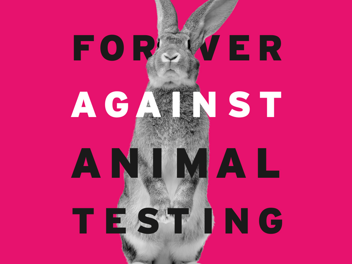 Proibição de testes de cosméticos em animais: faltam 2 milhões de assinaturas para levar o tema à ONU