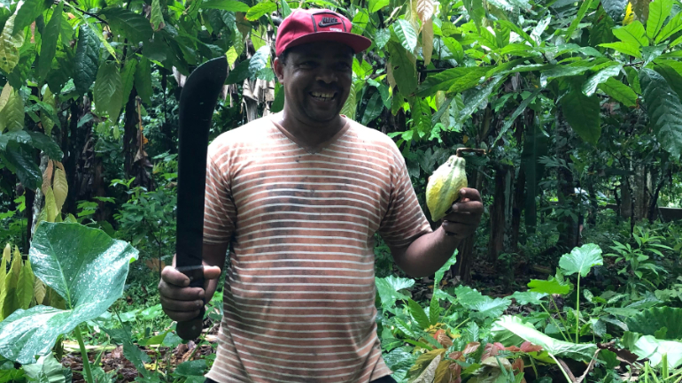 João é agricultor e na sua pequena parcela de terra cultiva cacau