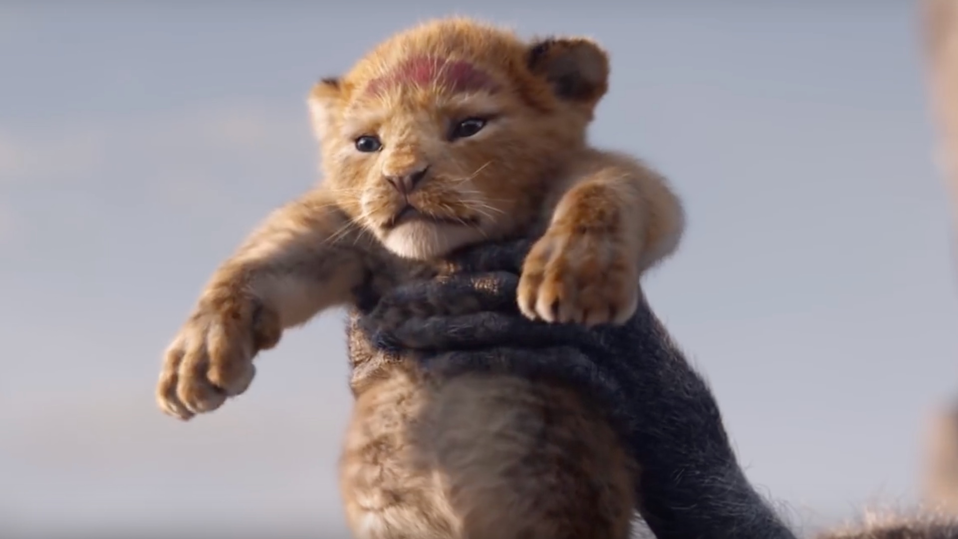 Já há trailer para o novo filme de “Rei Leão” — e é surpreendente