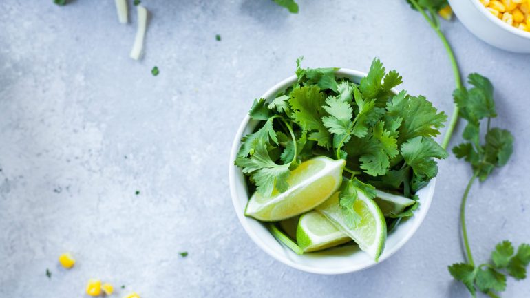 Ervas aromáticas. Como tirar partido das plantas que dão sabor à comida?