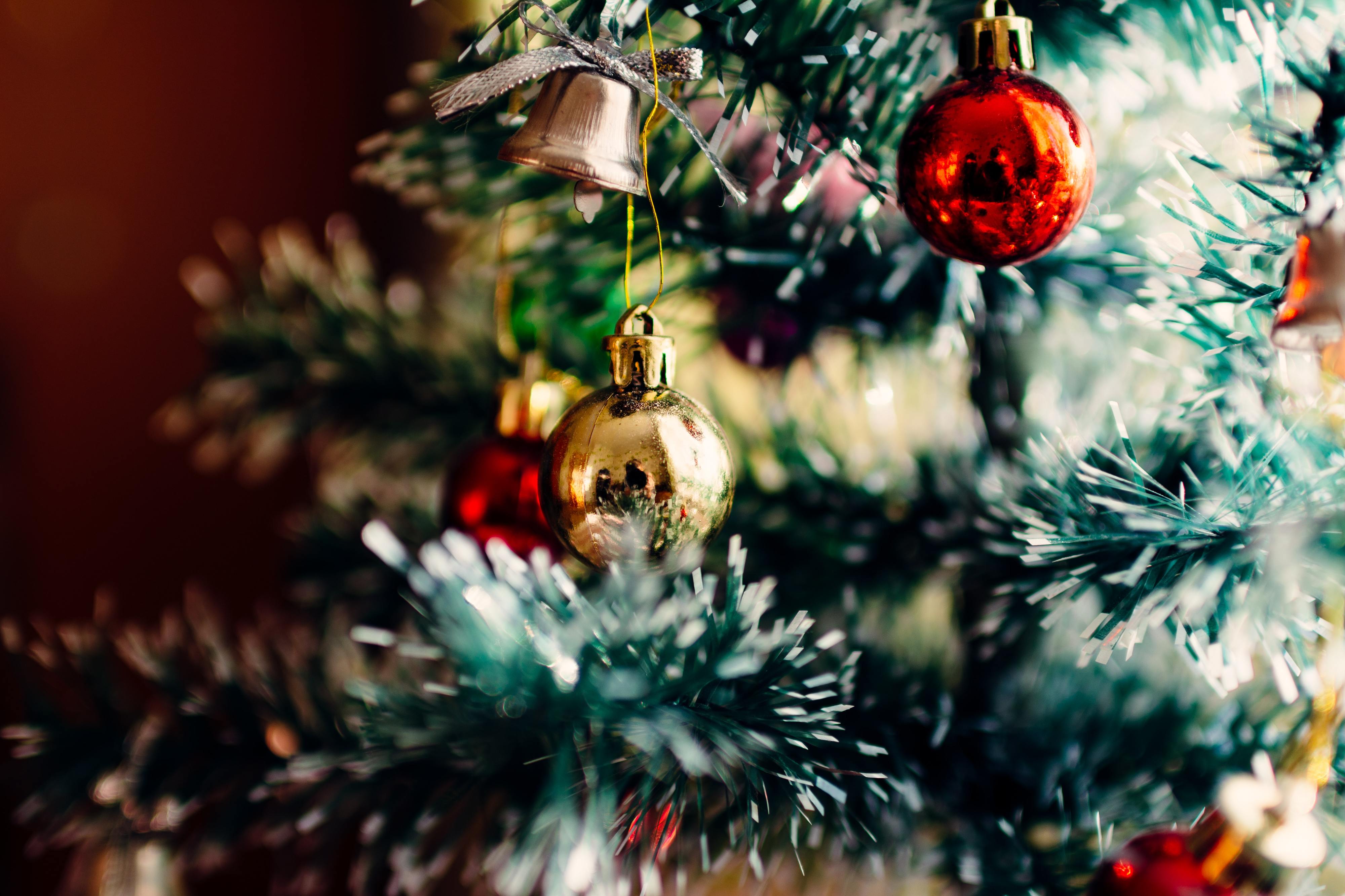 O Natal, segundo a DGS: usar o exterior, evitar cumprimentos e reduzir os convívios