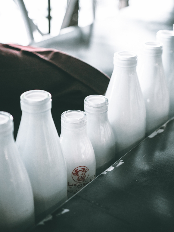 Dieta da maçã, leite, ananás. Porque é uma péssima ideia seguir estes planos alimentares