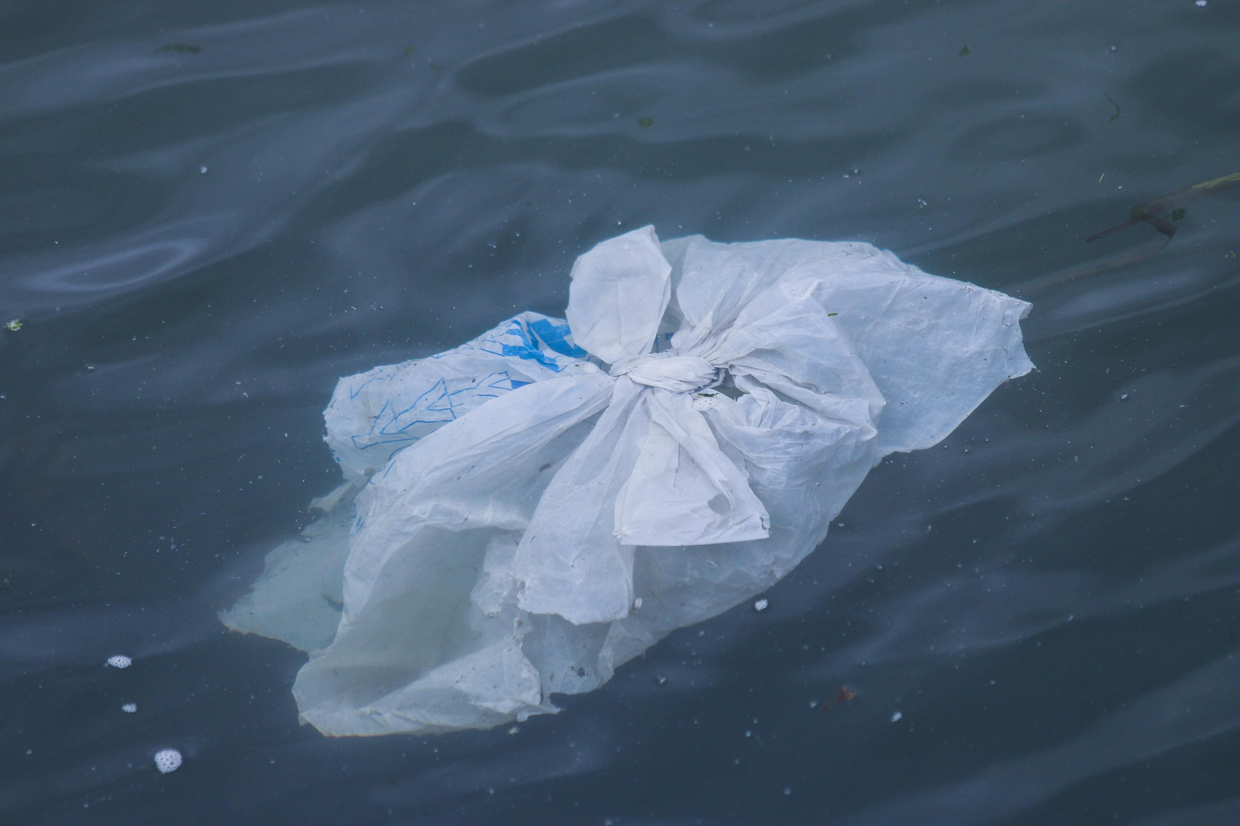 Máscaras e luvas podem aumentar poluição nos oceanos, alerta Quercus
