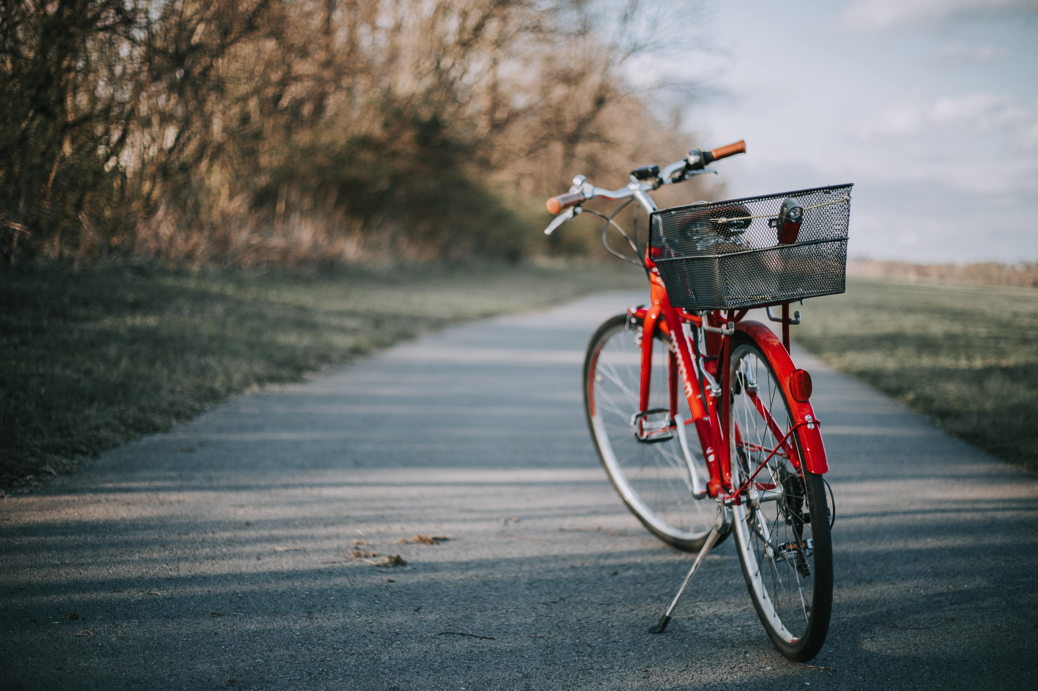 Vai comprar uma bicicleta? Temos um guia prático com tudo o que precisa de saber