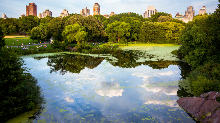No Central Park, pode encontrar a calmaria dentro de uma das cidades mais movimentadas do mundo