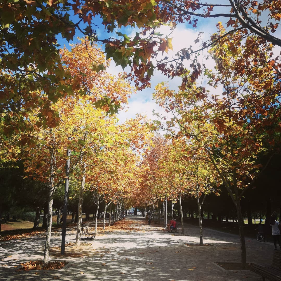 Parque da Paz em Almada Parque da Paz em Almada