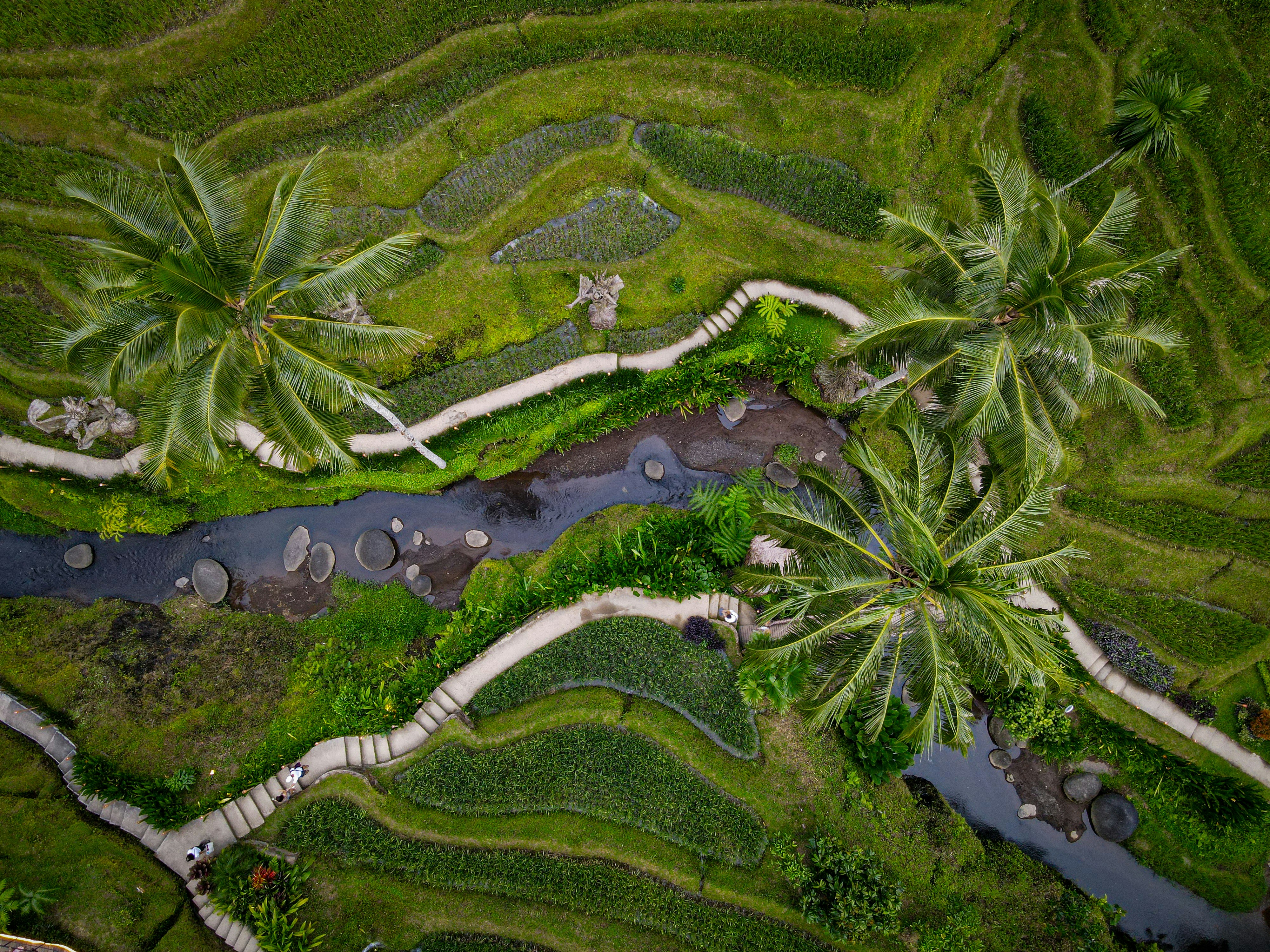 Bali, Indonésia Bali, Indonésia