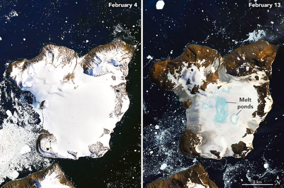 Um quarto da neve de uma ilha da Antártica derreteu em menos de 15 dias