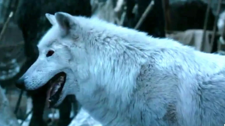 Budget à parte, ainda não perdoámos Jon Snow pela sua fria despedida de Fantasma