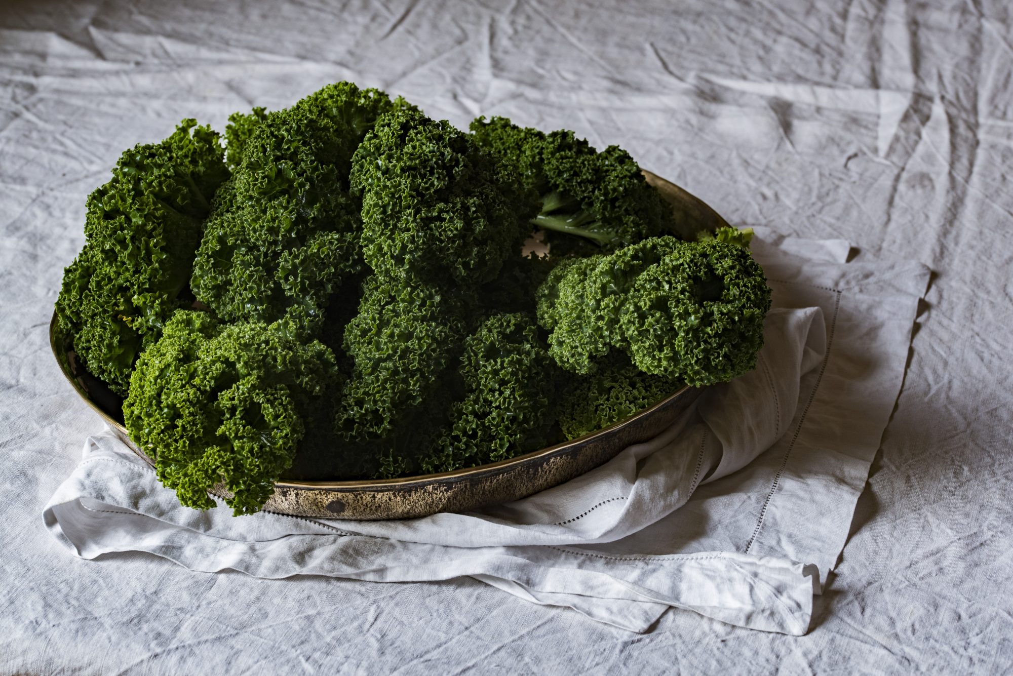 “Os brócolos salvam vidas”. Médico explica por que é que toda a gente devia comer este vegetal