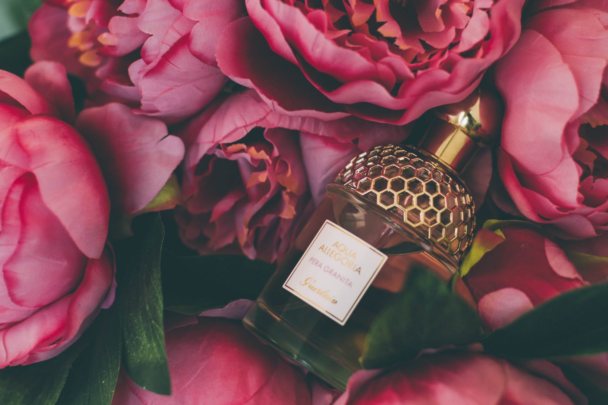 5 perfumes para dar as boas-vindas ao outono