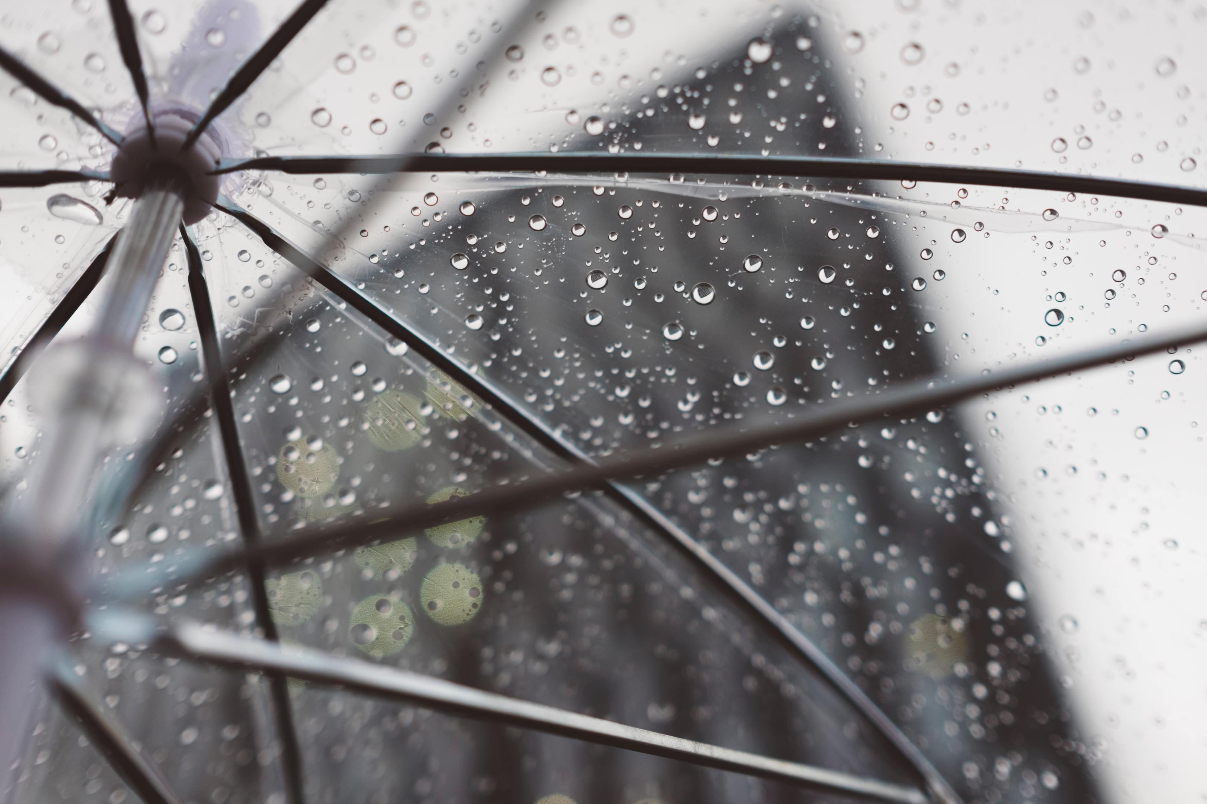 Das temperaturas negativas à chuva. Como vai estar o tempo na primeira semana de dezembro?