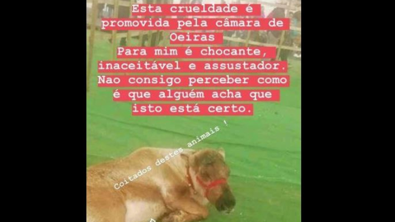 A imagem partilhada por Jessica Athayde nas redes sociais 