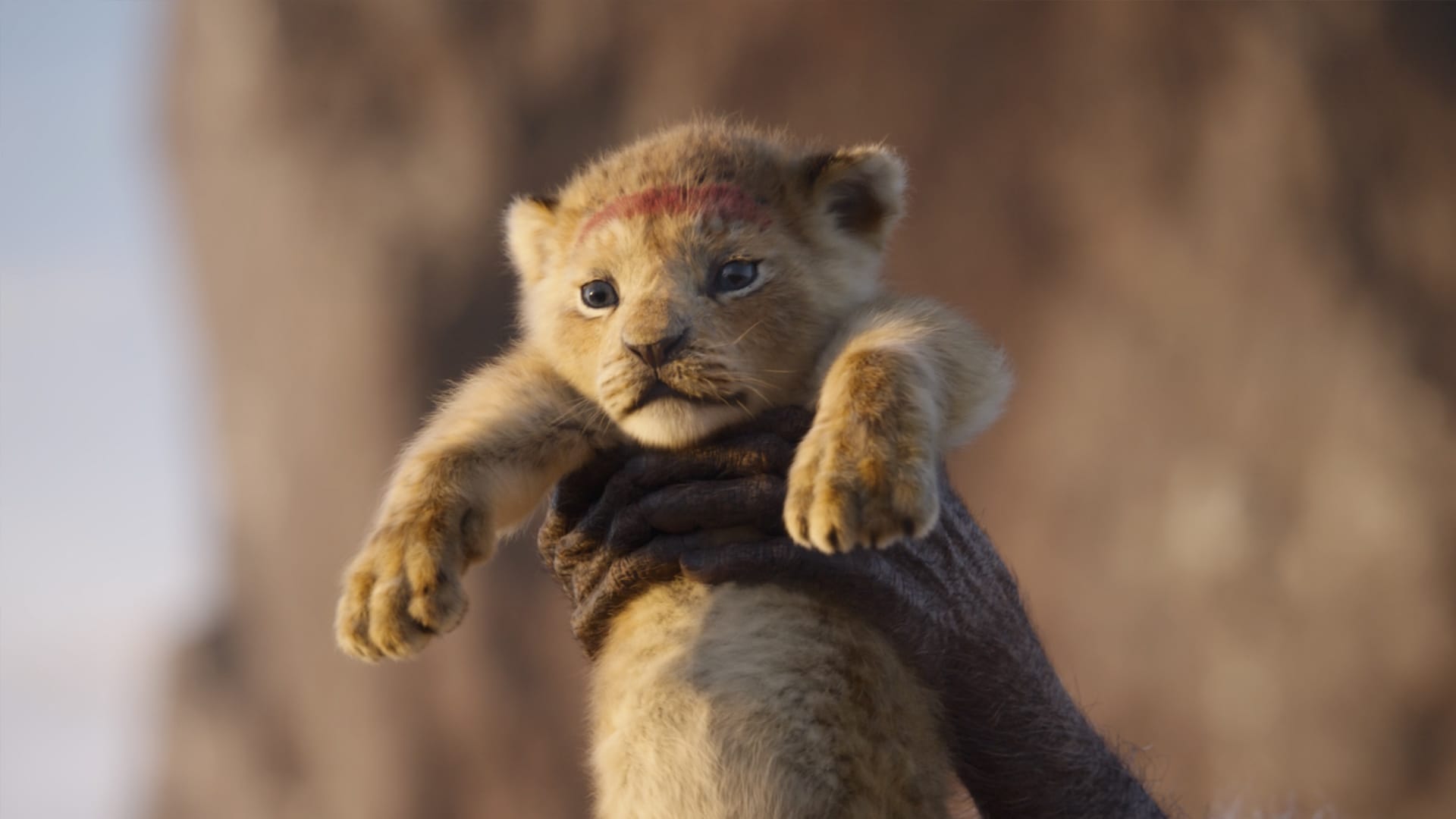 2019 foi o ano em que os portugueses mais foram ao cinema