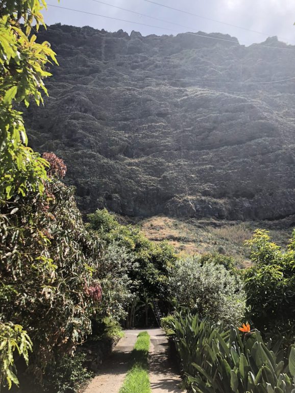14 coisas deslumbrantes (e deliciosas) a não perder na Madeira e no Porto Santo