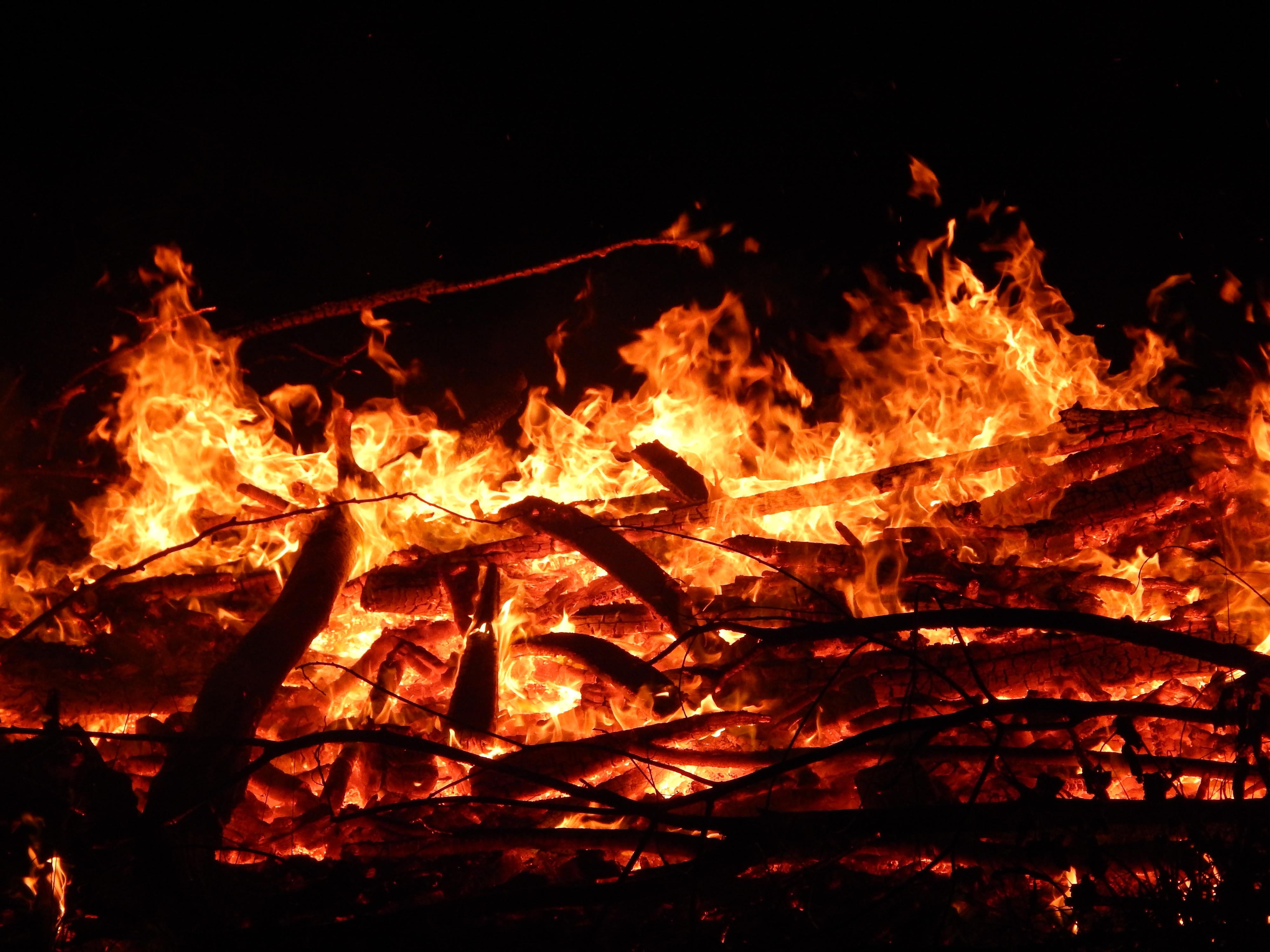 Um incêndio terá matado dezenas de animais em Santo Tirso. PAN acusa GNR de impedir o resgate