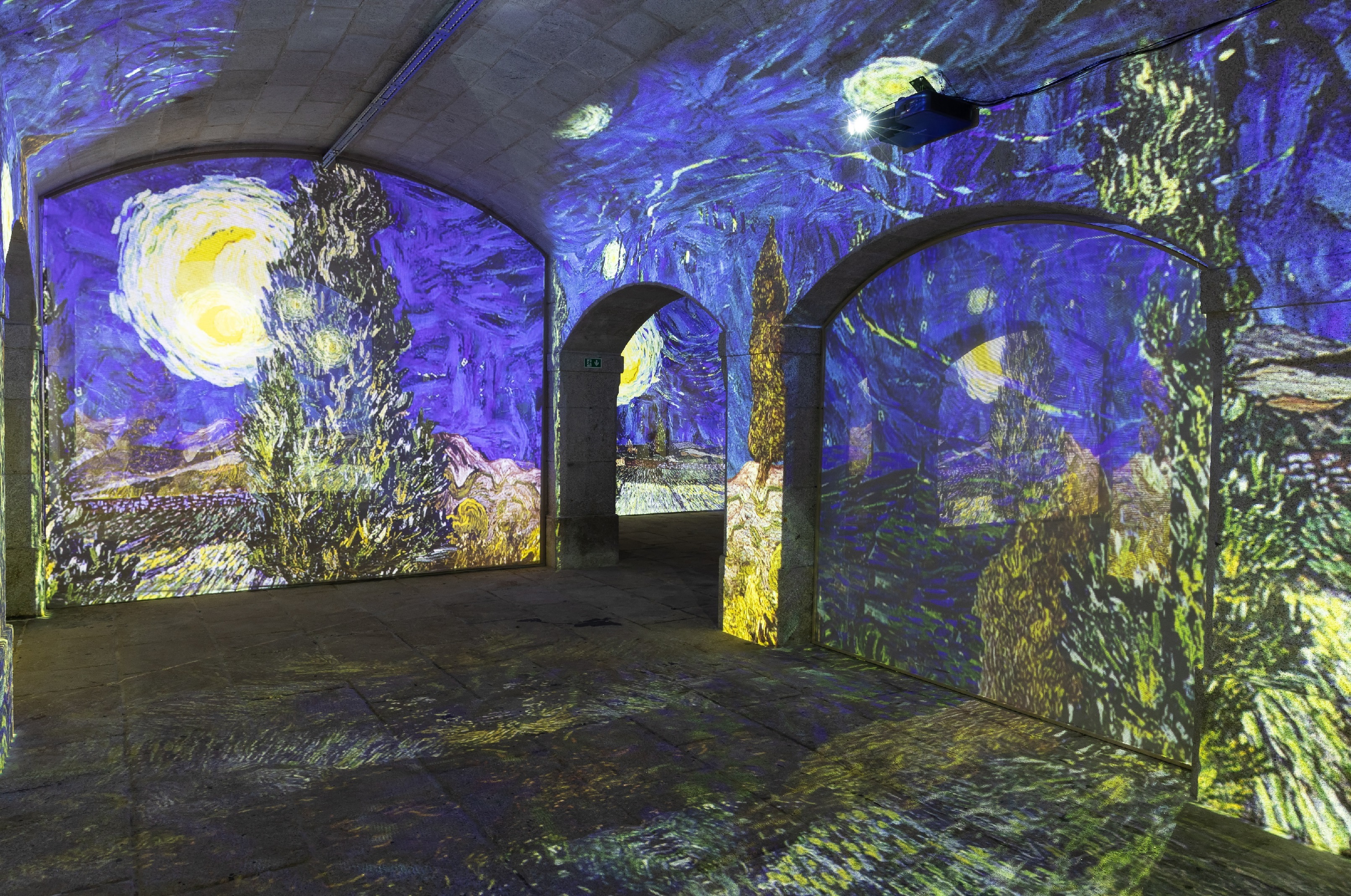 Porto vai receber experiência imersiva sobre van Gogh com mais de 150 obras do artista projetadas