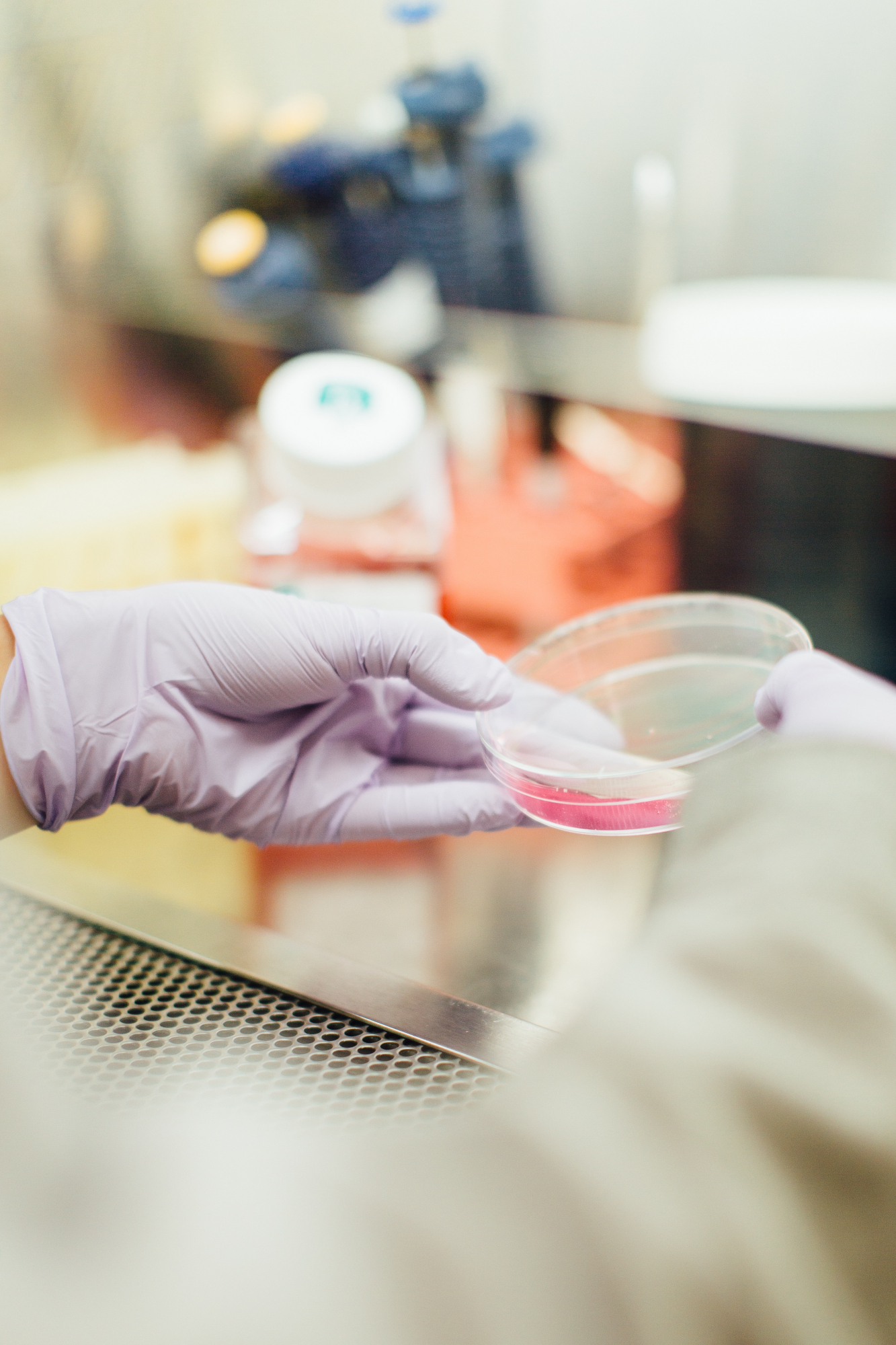 Cientistas garantem ter a cura para o cancro dentro de um ano