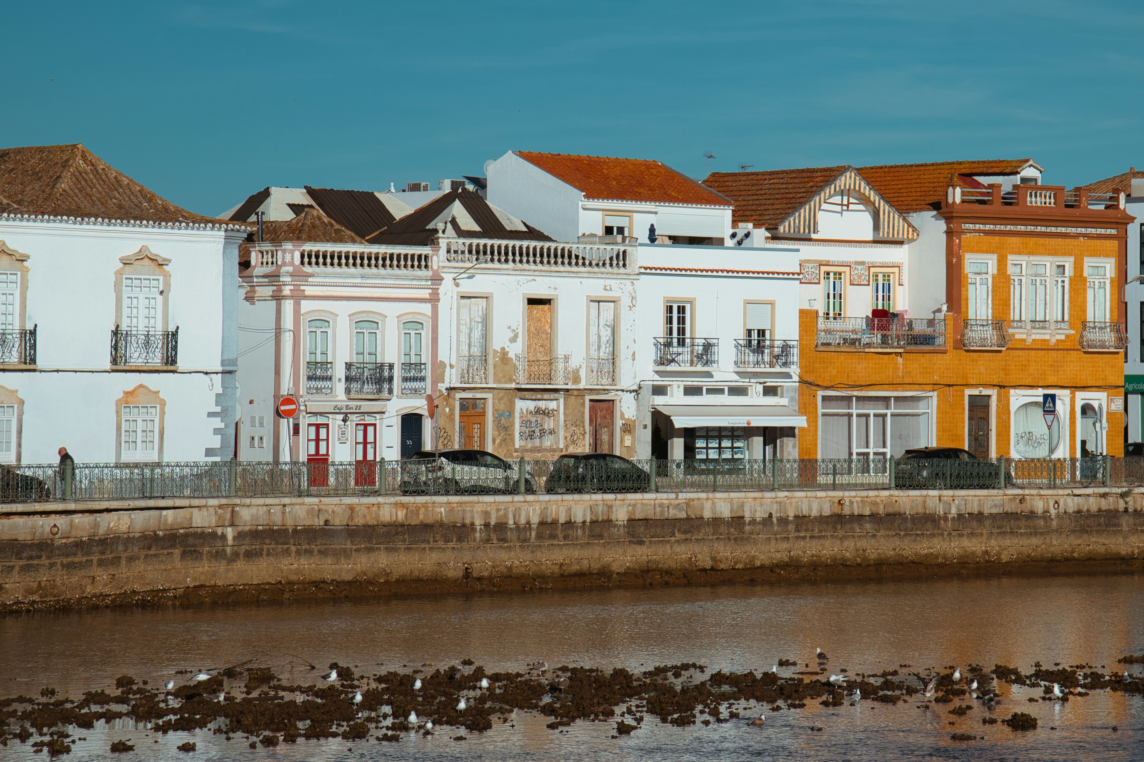 Tavira Tavira