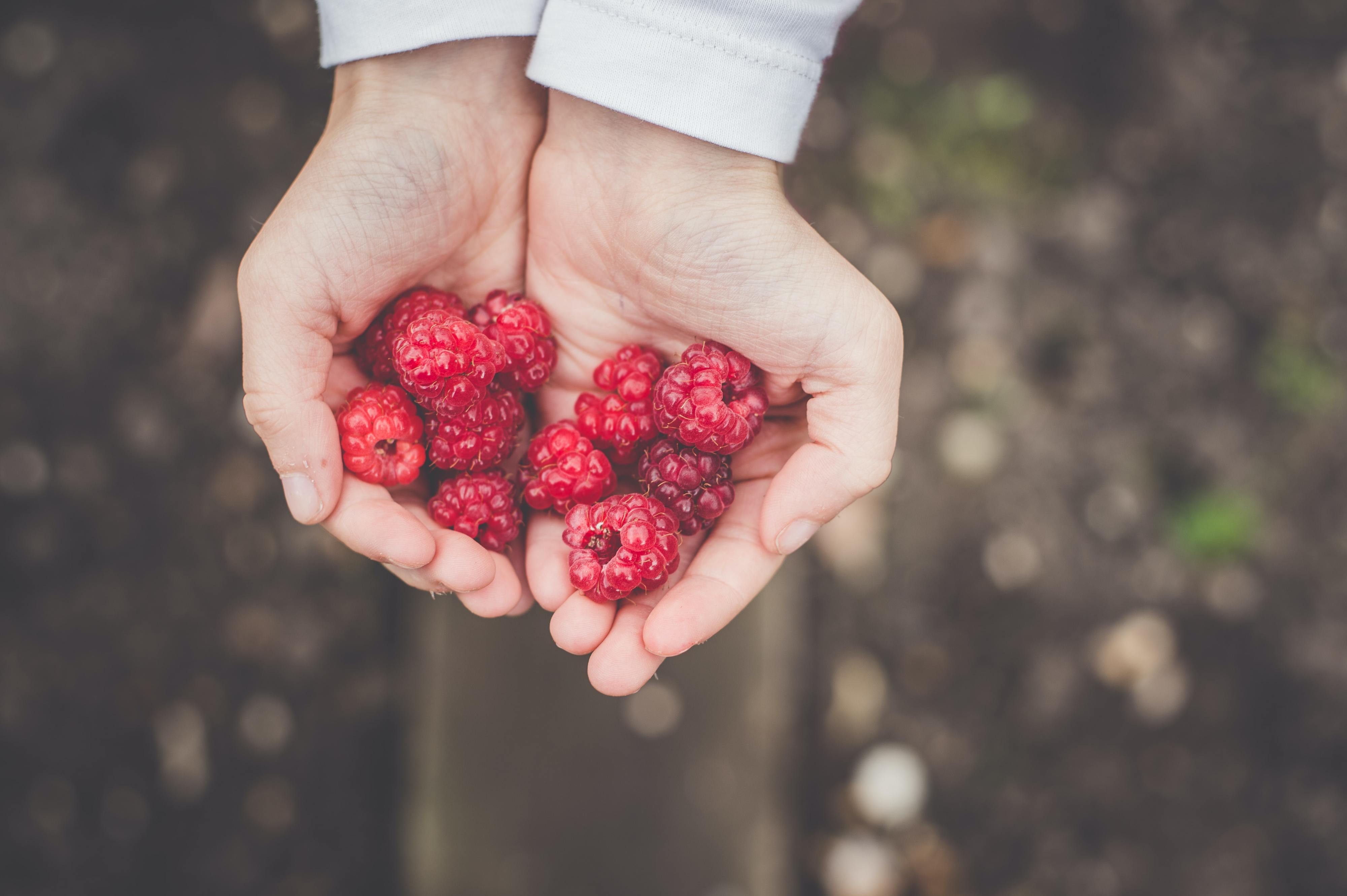 Antioxidantes. Que moléculas são estas e porque é que nos dão uma saúde de ferro?