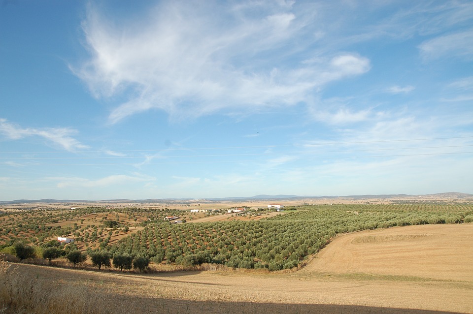 Por que é que o Alentejo foi eleito como um dos destinos perfeitos para viagens de primavera