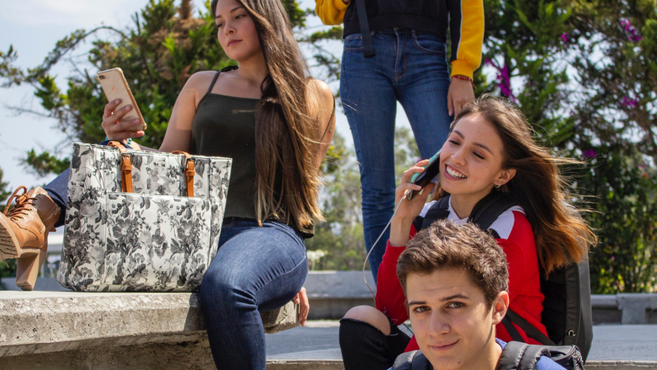 A psicóloga Filipa Jardim da Silva refere que a tecnologia pode ser um fator que distingue o poder económico das famílias, favorecendo a discriminação entre jovens