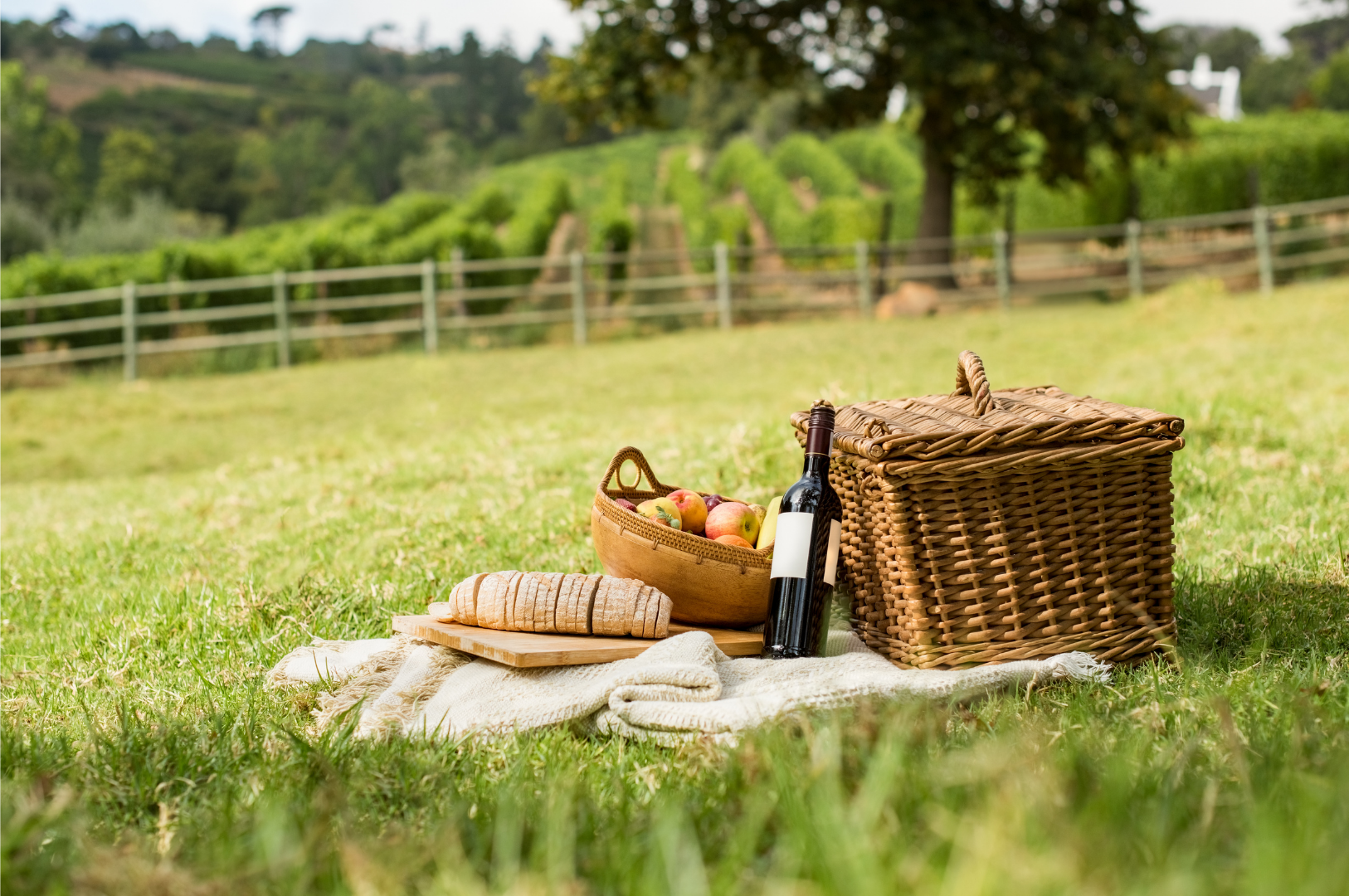 Estenda a toalha e celebre o dia do piquenique a ver o Douro ou no meio do Alentejo