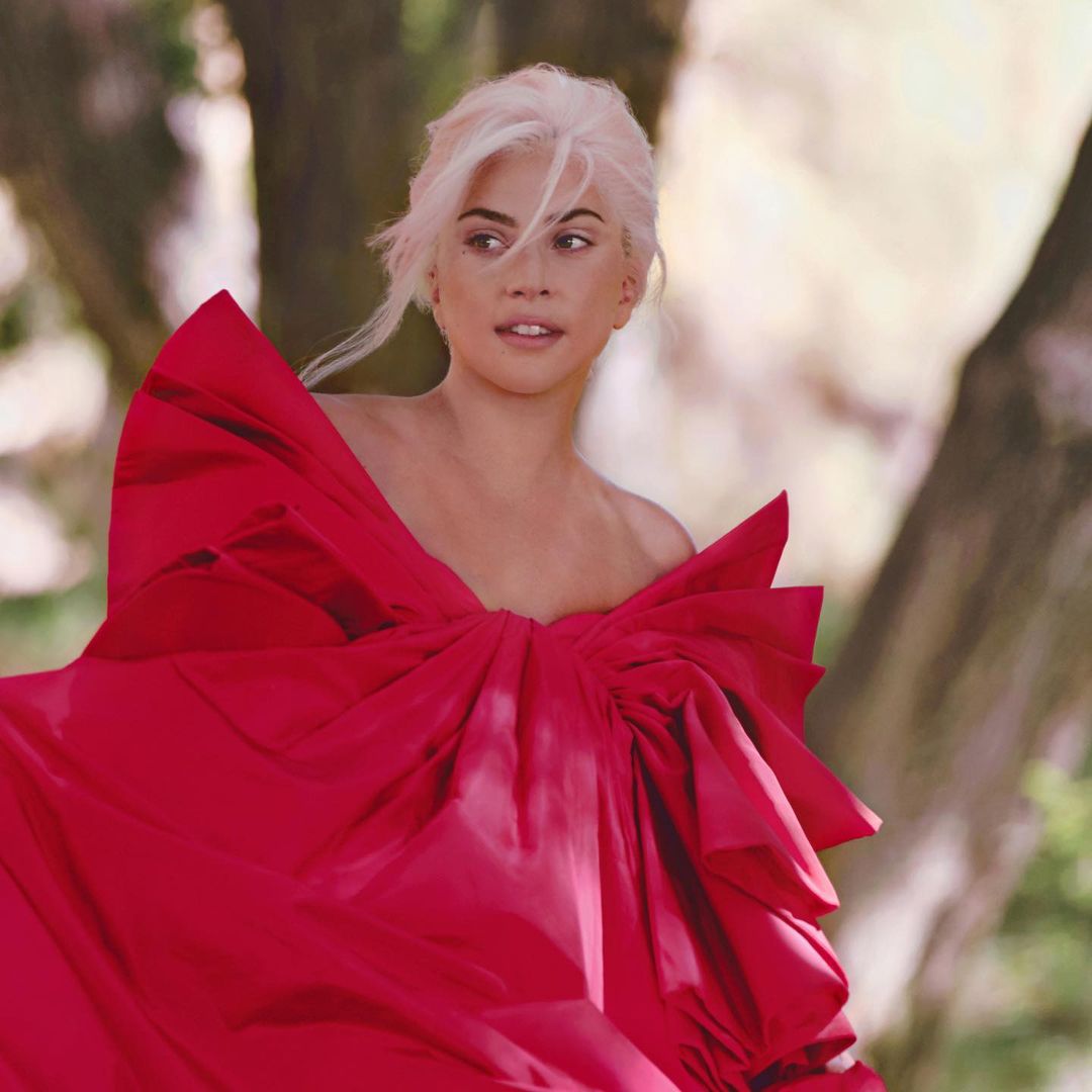 Os cães de Lady Gaga foram roubados. Cantora está a oferecer 400 mil euros de recompensa