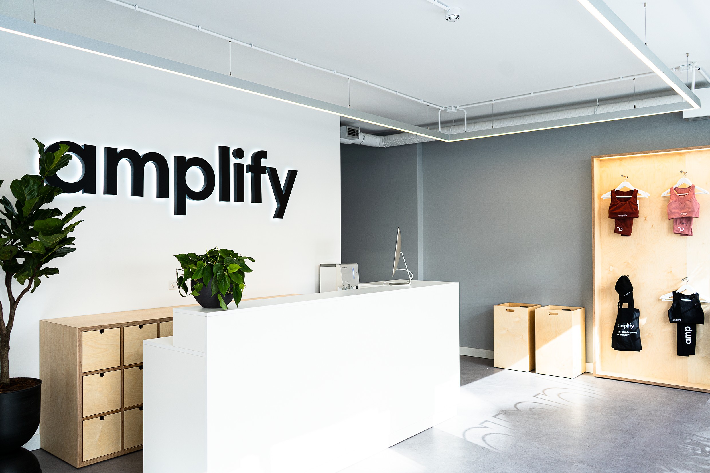 Amplify. No novo ginásio de Lisboa só há 3 modalidades (e é tudo o que precisa)
