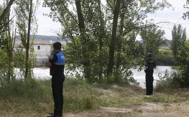 Haverá mesmo um crocodilo no rio Douro?