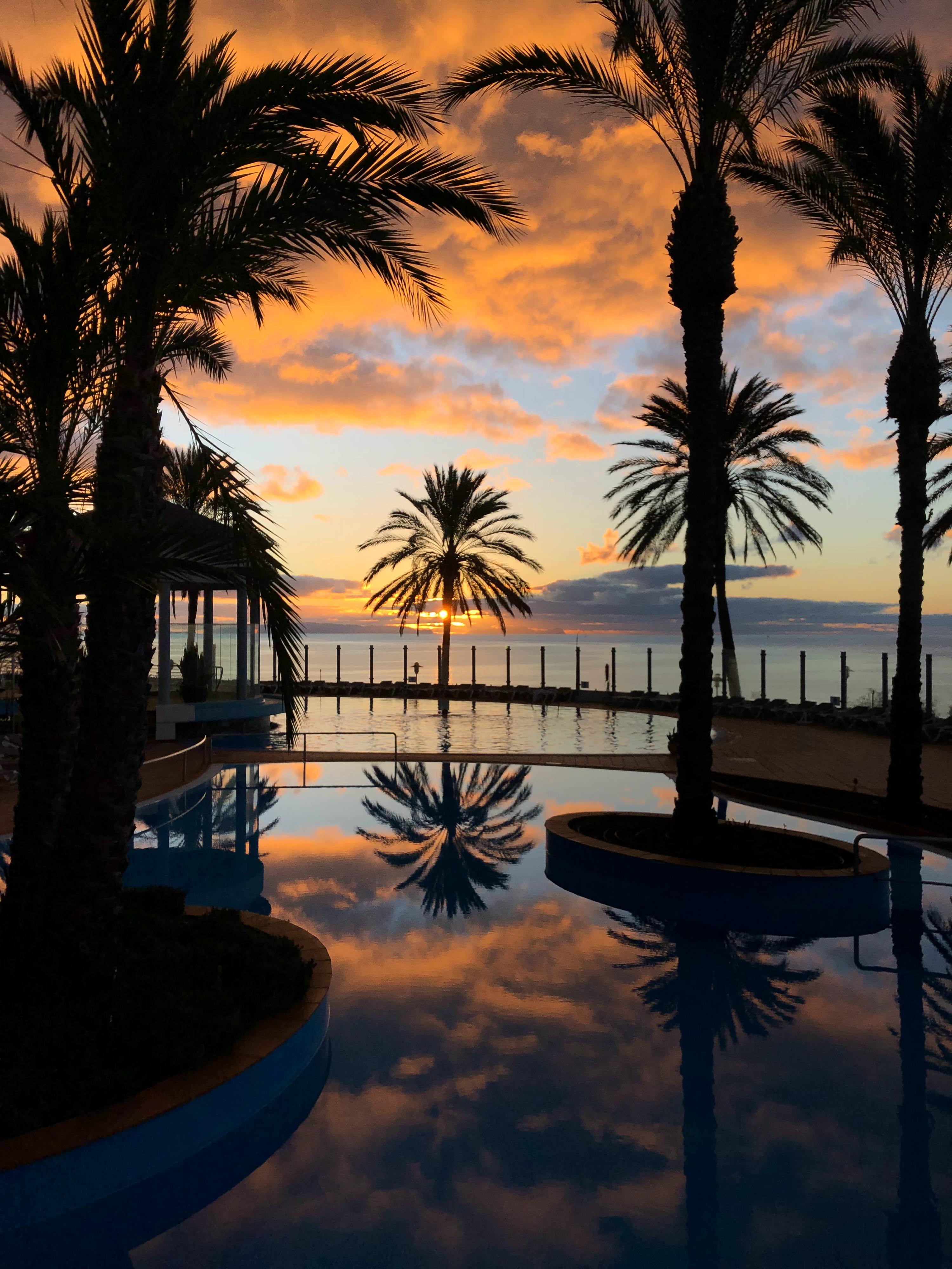 Ir à Madeira por 20 euros? E a Ibiza? EasyJet lança campanha imperdível