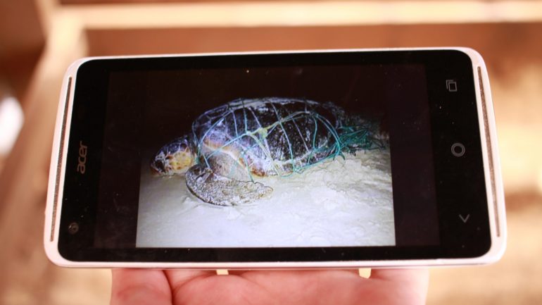 A imagem da tartaruga envolta em redes de pesca que a Natura 2000 conseguiu salvar