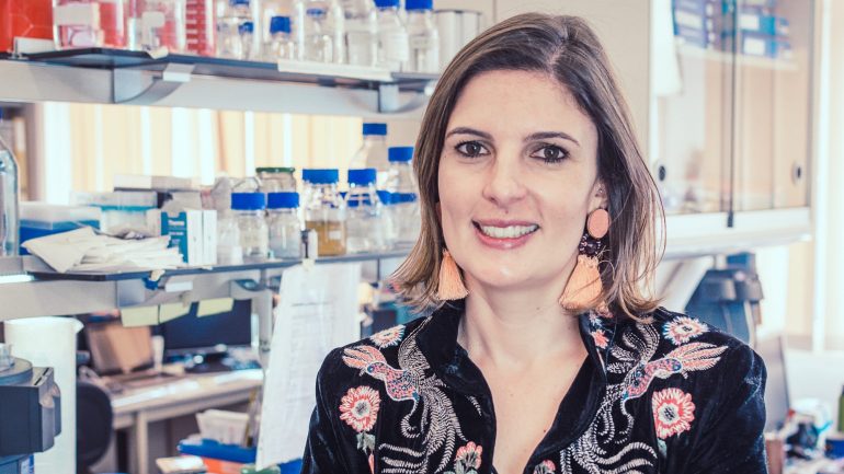 Inês nunca tinha estudado o parasita da malária e a curiosidade despertou quando descobriu que o vírus tinha um ciclo de vida muito próprio. Tudo começou com uma pergunta: 'porquê?'