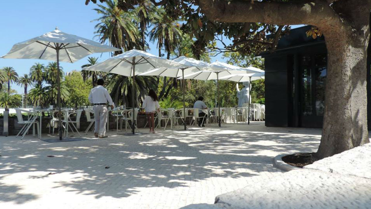 A Casa do Lago pode ser o local ideal para aproveitar o dia (a estudar, claro) e fazer a fotossíntese