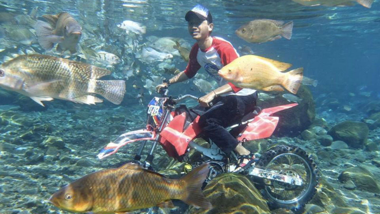 Presidente Joko Widodo